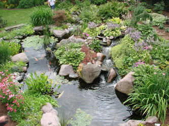 Water Garden Options - Chris' Water Gardens 217-896-2225